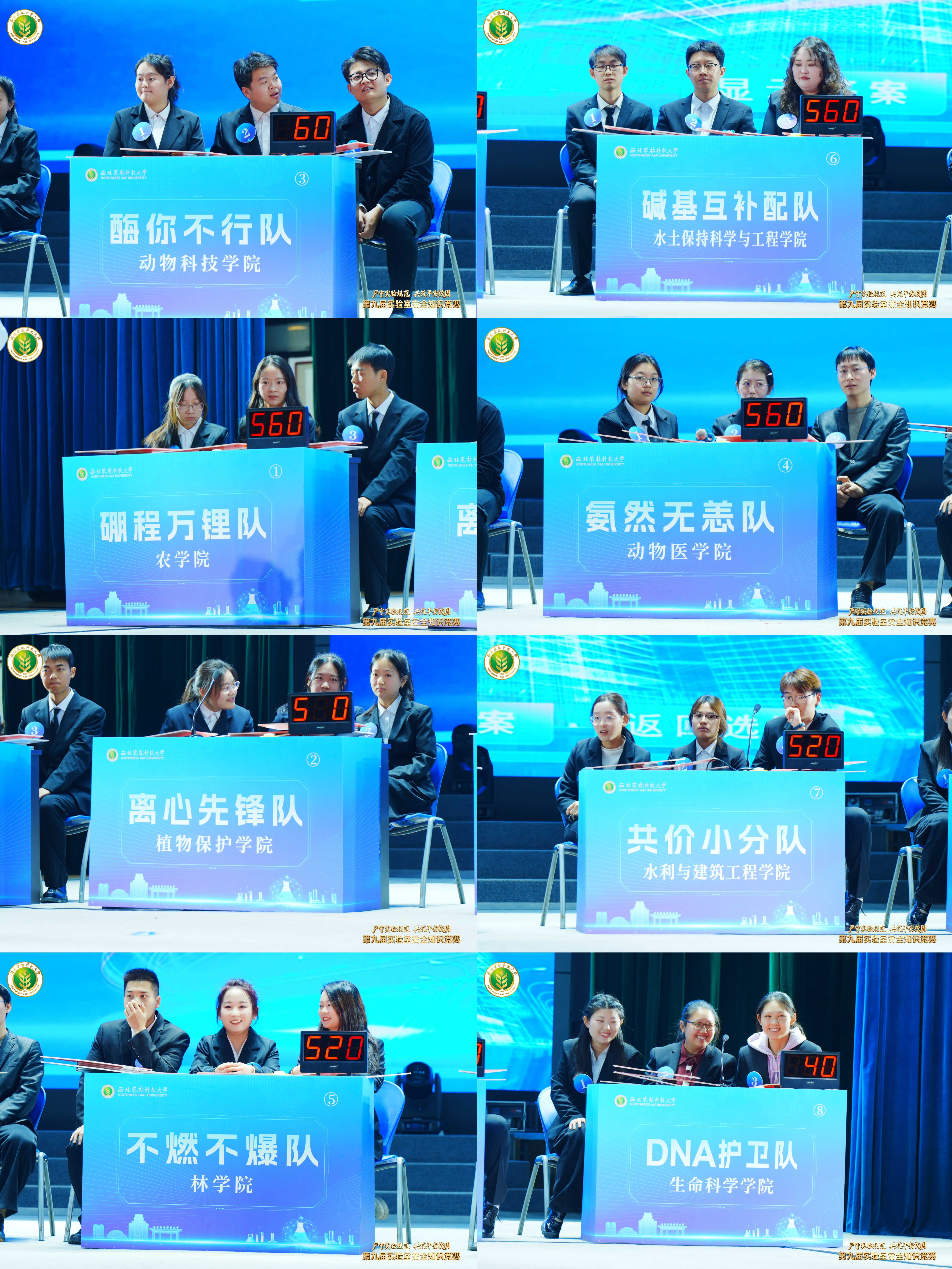 d308abd9806d451c8738edad6eb1e04d (1).jpg