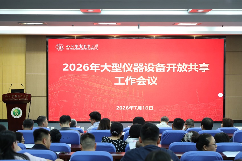 会议现场.jpg